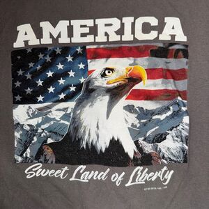 America Sweet Land Liberty Flag Shirt Mens XL Patriotic Grey Top Eagle USA Pride